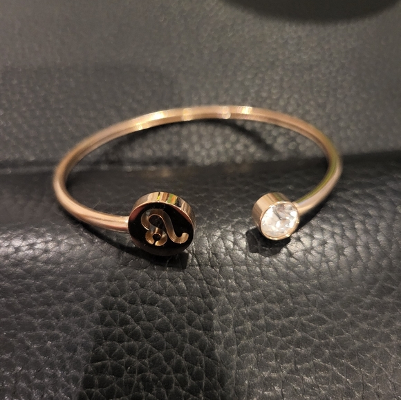 Stainless Steel Leo Bangle with Clear Crystal - Picture 3 of 7